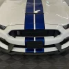 FASTBACK SHELBY GT350 CRAZY DRIVER - Centre d'occasion