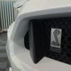 FASTBACK SHELBY GT350 CRAZY DRIVER - Centre d'occasion